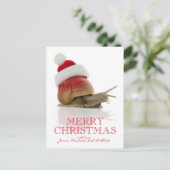 クリスマスカタツムリ シーズンポストカード (スタンド正面)