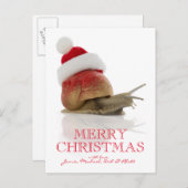 クリスマスカタツムリ シーズンポストカード (正面/裏面)