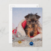 クリスマスカップ シーズンポストカード (正面/裏面)