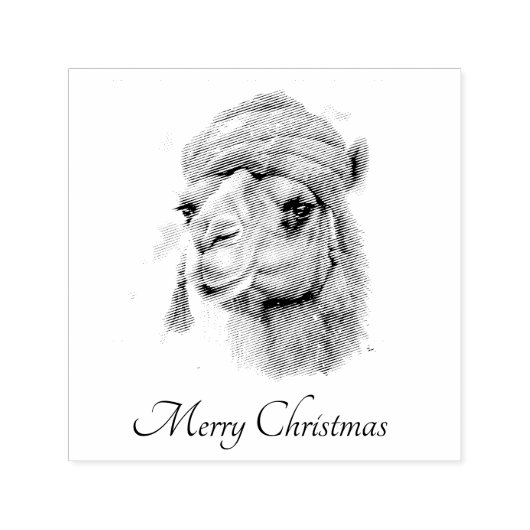 クリスマスカメラ、カスタマイズ可能 セルフインキングスタンプ (デザイン)