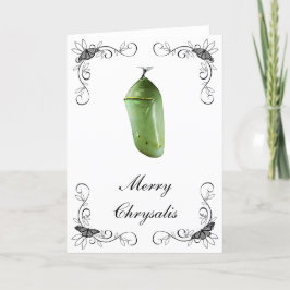 クリスマスカメリーード シーズンカード