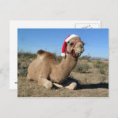 クリスマスカメルはがき シーズンポストカード (正面/裏面)