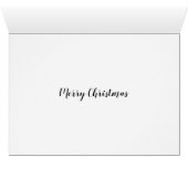 クリスマスカメ (内部横(下))