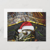 クリスマスカメ シーズンポストカード (正面/裏面)