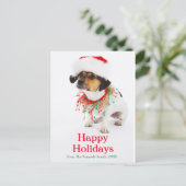 クリスマスカラーとサンタハット付き犬 シーズンポストカード (スタンド正面)