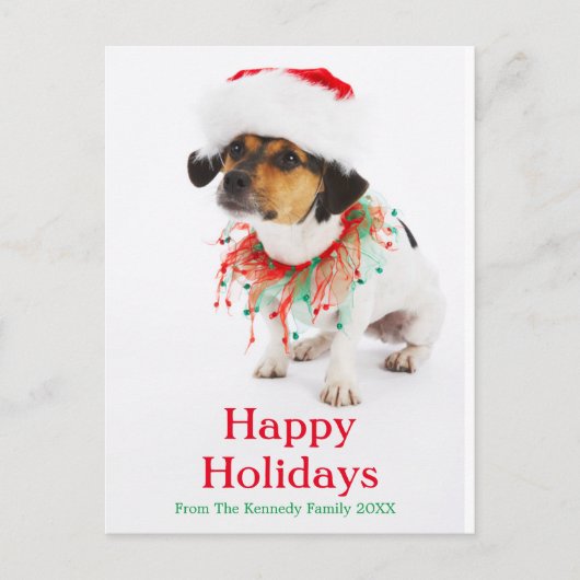 クリスマスカラーとサンタハット付き犬 シーズンポストカード (正面)