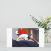 クリスマスカリコ猫 シーズンカード (スタンド正面)