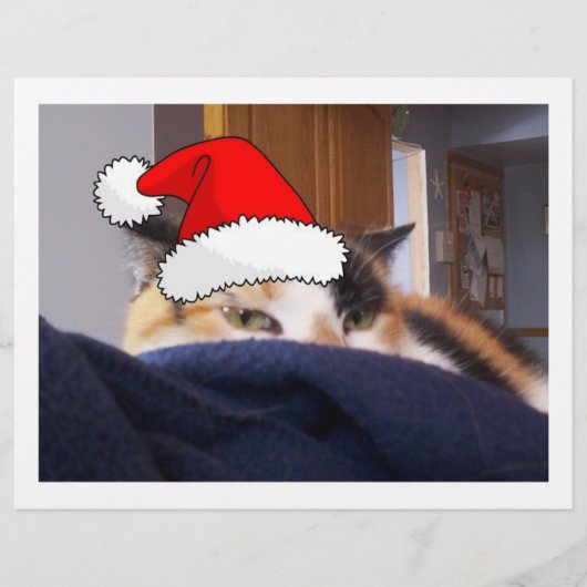 クリスマスカリコ猫 チラシ (正面)