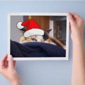 クリスマスカリコ猫 チラシ (手)