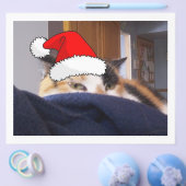 クリスマスカリコ猫 チラシ (シングル)