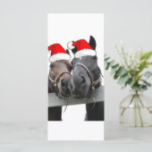 クリスマスカントリーウマ (スタンド正面)