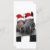 クリスマスカントリーウマ (正面/裏面)