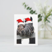 クリスマスカントリーウマ シーズンポストカード (スタンド正面)