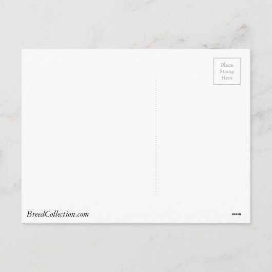 クリスマスカーを運転するラットテリア犬 シーズンポストカード (裏面)