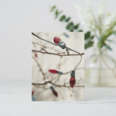 クリスマスカードとシールのみ シーズンポストカード (スタンド正面)