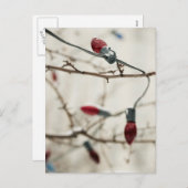 クリスマスカードとシールのみ シーズンポストカード (正面/裏面)