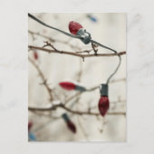 クリスマスカードとシールのみ シーズンポストカード (正面)