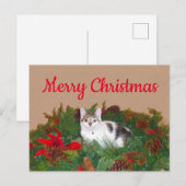 クリスマスカードにリースの猫 シーズンポストカード (正面/裏面)