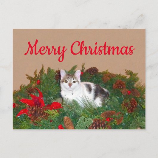 クリスマスカードにリースの猫 シーズンポストカード (正面)