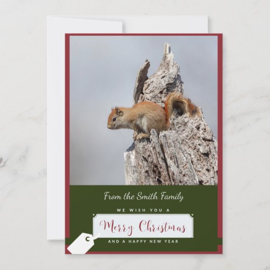 クリスマスカードに赤いリス シーズンカード (正面)