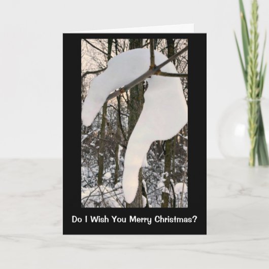 クリスマスカードに関すおもしろいる雪の質問 シーズンカード (正面)