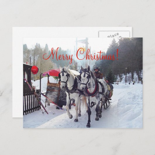 クリスマスカードのメリークリスマス シーズンポストカード (正面/裏面)