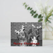 クリスマスカードのリコントラスト、メリークリスマス!!の… シーズンポストカード (スタンド正面)