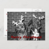 クリスマスカードのリコントラスト、メリークリスマス!!の… シーズンポストカード (正面/裏面)