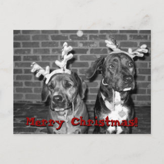 クリスマスカードのリコントラスト、メリークリスマス!!の… シーズンポストカード