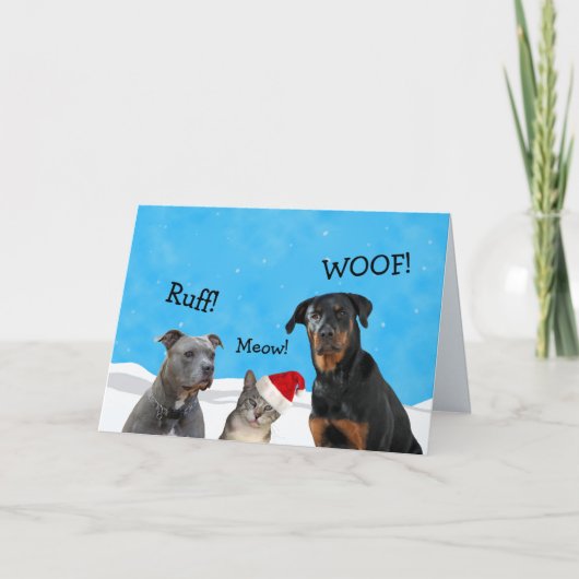 クリスマスカードは何と思った? シーズンカード (正面)