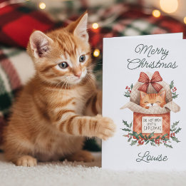 クリスマスカードまで開けないで オレンジの可愛い猫 シーズンカード