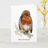 クリスマスカードを見下ろすヨーロッパロビン カード (黄色い花)