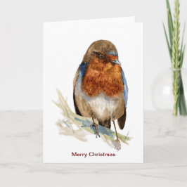 クリスマスカードを見下ろすヨーロッパロビン カード