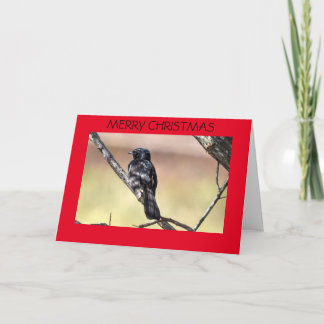 クリスマスカードウィリー・ワグテール・オーストラリア シーズンカード