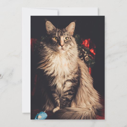 クリスマスカードシミラV2 シーズンカード (正面)