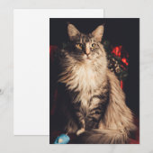 クリスマスカードシミラV2 シーズンカード (正面/裏面)