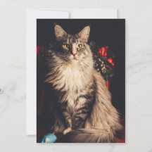 クリスマスカードシミラV2