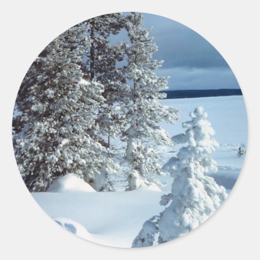 クリスマスカードシール ラウンドシール (正面)