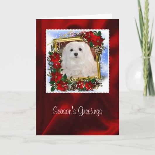 クリスマスカードマルチーズのスノードロップ シーズンカード (正面)