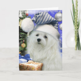 クリスマスカードマルチーズのスノードロップ シーズンカード