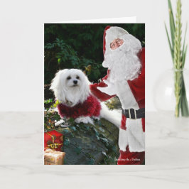クリスマスカードマルチーズのスノードロップ シーズンカード