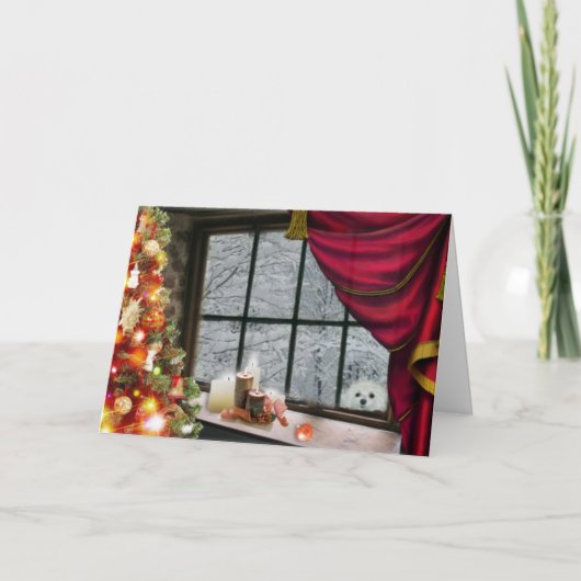 クリスマスカードマルチーズのスノードロップ シーズンカード (正面)