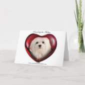 クリスマスカードマルチーズのスノードロップ シーズンカード (裏面)