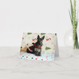 クリスマスカード待ち カード