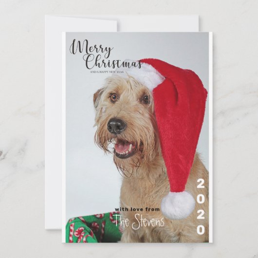 クリスマスカード犬ペットフォトコラージュ 招待状 (正面)