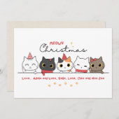 クリスマスカード猫好き シーズンカード (正面/裏面)