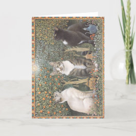 クリスマスカード猫 シーズンカード