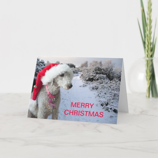 クリスマスカード (正面)