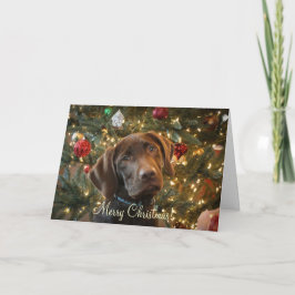 クリスマスカード