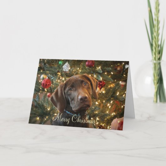 クリスマスカード (正面)